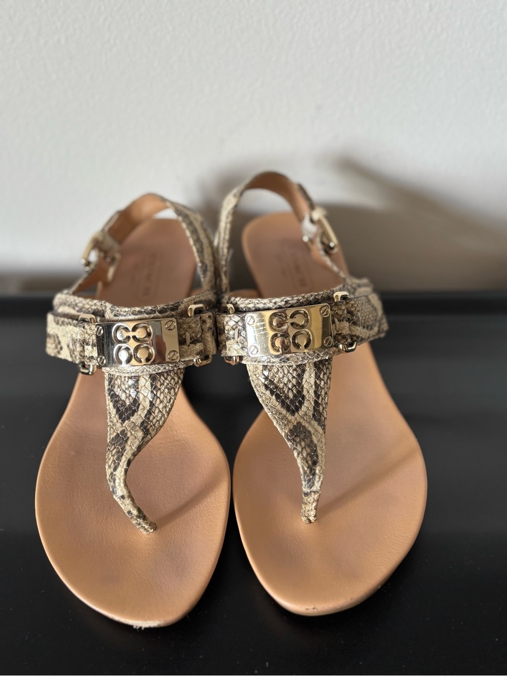 Coach Snake-Print Thong Sandals with Gold Logo Plaque